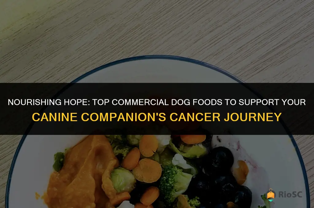 best commercial dog food for dogs with cancer