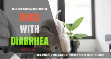 Top Picks for Soothing Diarrhea in Dogs: A Guide to the Best Commercial Dog Foods for Digestive Health