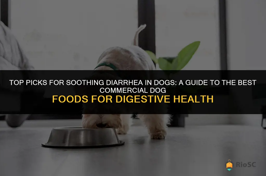 best commercial dog food for dogs with diarrhea