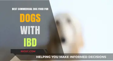 Top Picks for Tummies: The Best Commercial Dog Foods for Canines with IBD