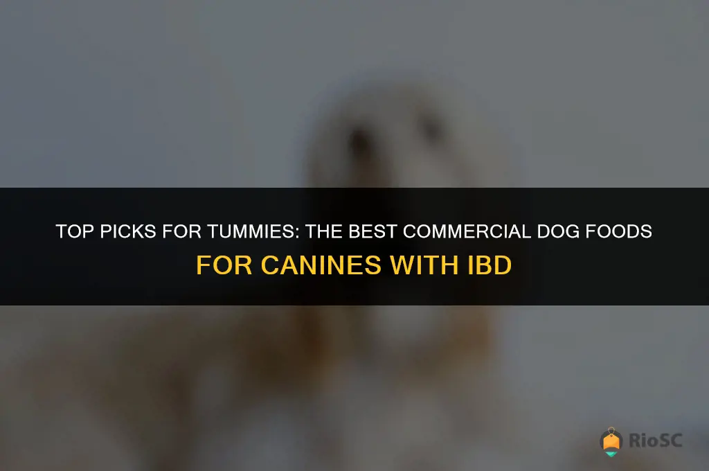 best commercial dog food for dogs with ibd