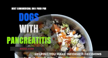 Top Picks for Pancreatic-Friendly Dog Food: A Comprehensive Guide for Concerned Pet Owners