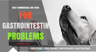 Top Picks for Soothing Your Dog's Sensitive Stomach: The Best Commercial Dog Foods for Gastrointestinal Issues
