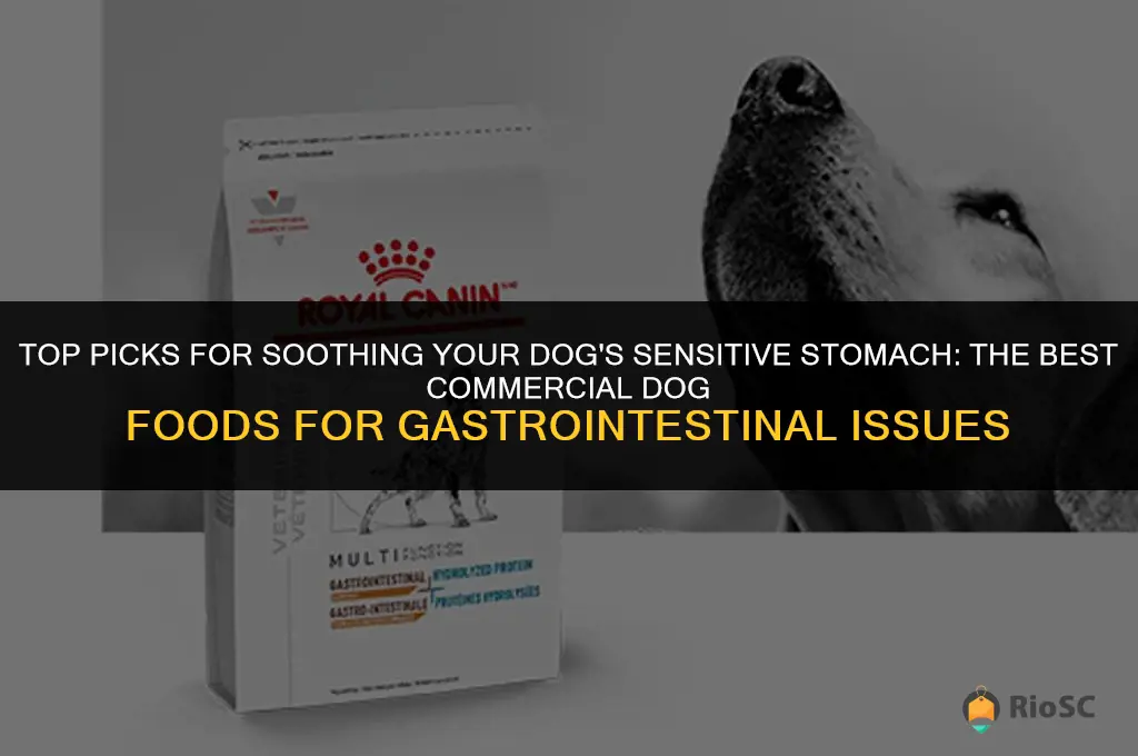 best commercial dog food for gastrointestinal problems