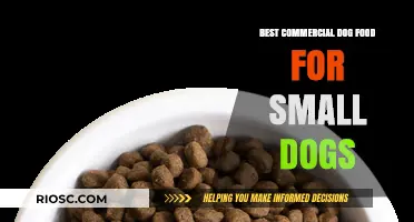 Top-Rated Commercial Dog Foods for Small Breeds: A Comprehensive Guide