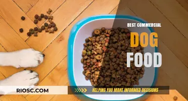 Top-Rated Commercial Dog Foods: A Comprehensive Guide for Pet Owners