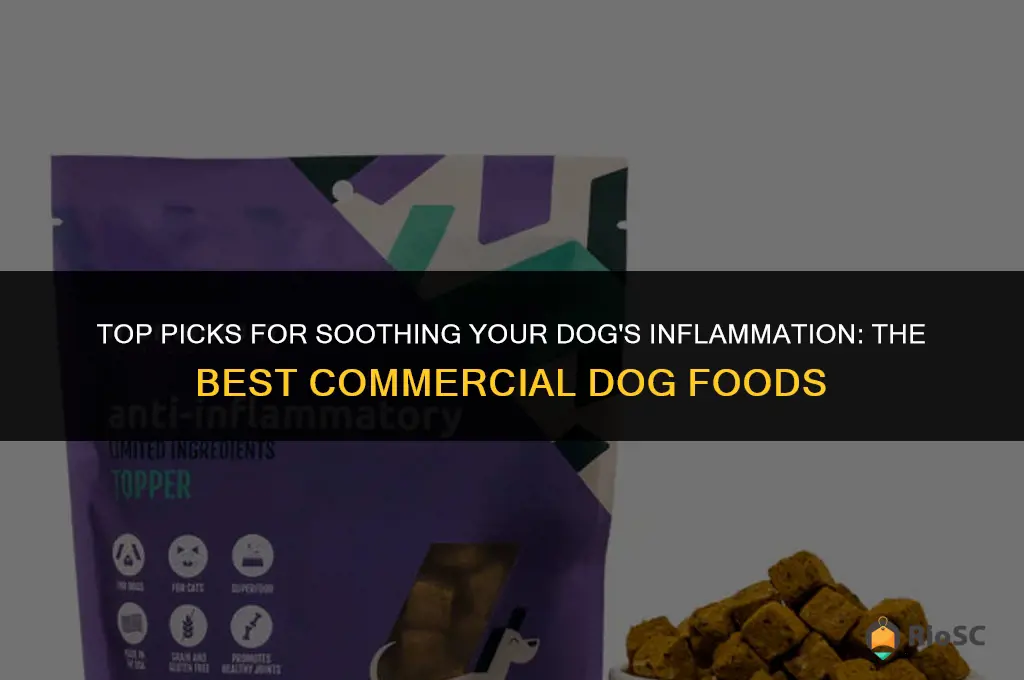 best commercial dog foods for inflammation