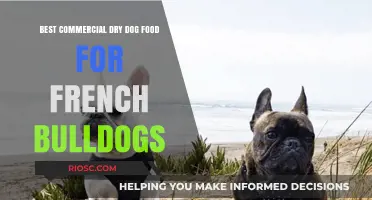 Top-Rated Commercial Dry Dog Food Options for French Bulldogs: A Comprehensive Guide