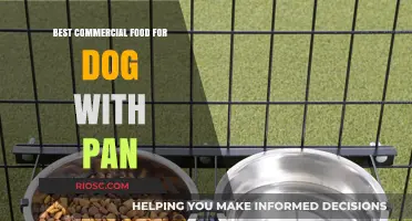 Top Picks for Commercial Dog Food Containing Pan: A Comprehensive Guide for Pet Owners