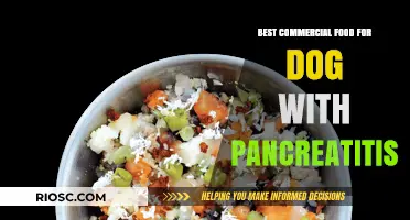 Top Picks for Pancreatic-Friendly Dog Food: A Comprehensive Guide for Concerned Pet Owners