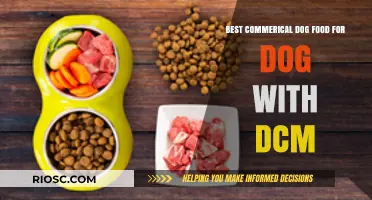Top-Rated Commercial Dog Foods for Canines with Dilated Cardiomyopathy (DCM)