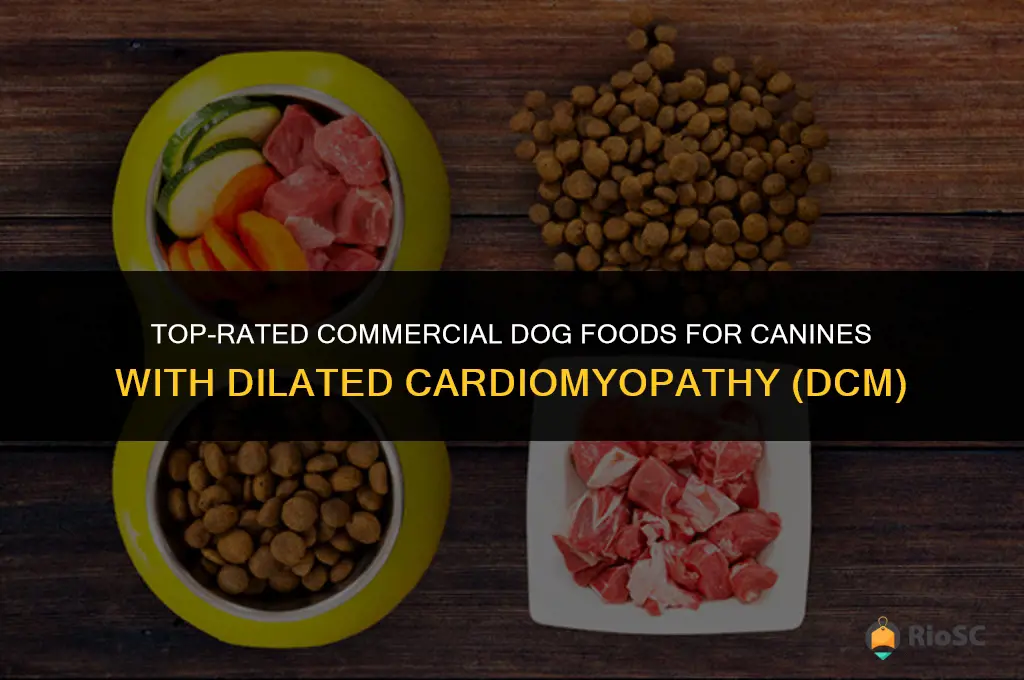 best commerical dog food for dog with dcm