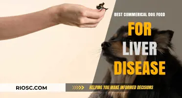 Top Commercial Dog Foods for Managing Liver Disease: A Comprehensive Guide