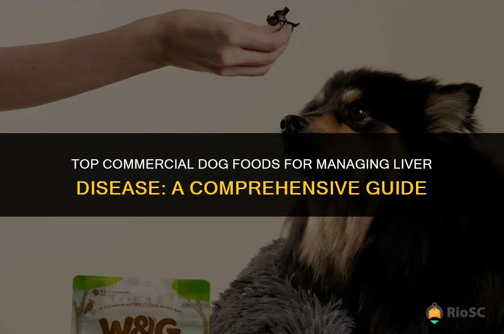 best commerical dog food for liver disease