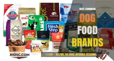 Top Picks for Your Furry Friend: Best Common Dog Food Brands