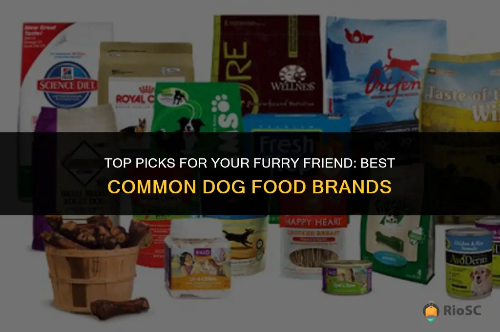 best common dog food brands