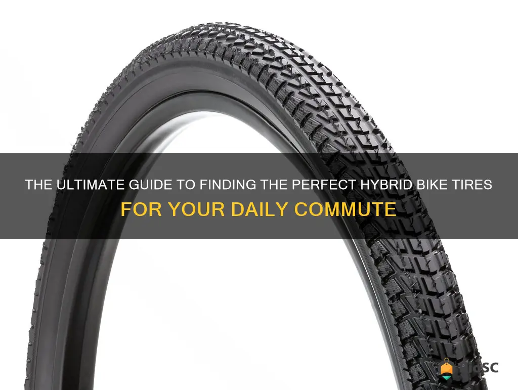 best commuter hybrid bike tires