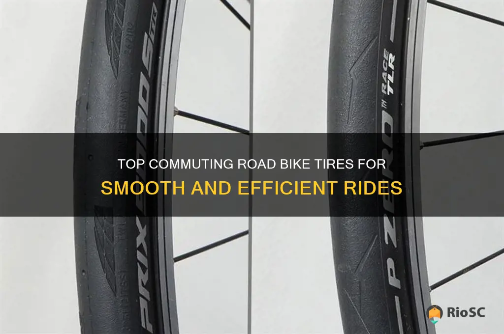best commuting road bike tires