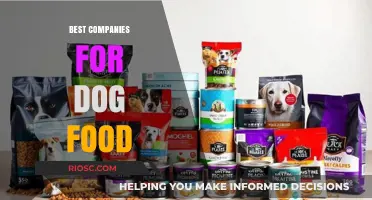 Top-Rated Dog Food Brands: A Comprehensive Guide for Pet Owners