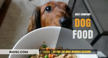 Top-Rated Company Dog Food: A Comprehensive Guide to Choosing the Best for Your Furry Friend