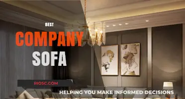 Ultimate Comfort and Style: Discover the Best Company Sofa for Your Living Space
