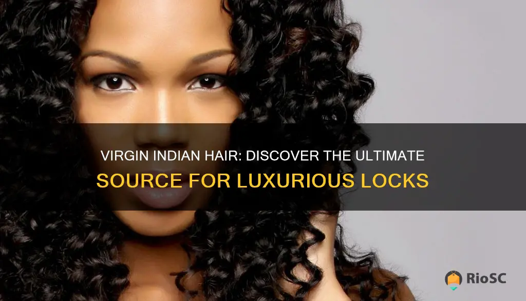 best company to buy virgin indian hair