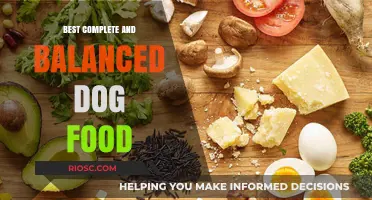 Unleashing Optimal Health: A Guide to the Best Complete and Balanced Dog Food for Your Furry Friend