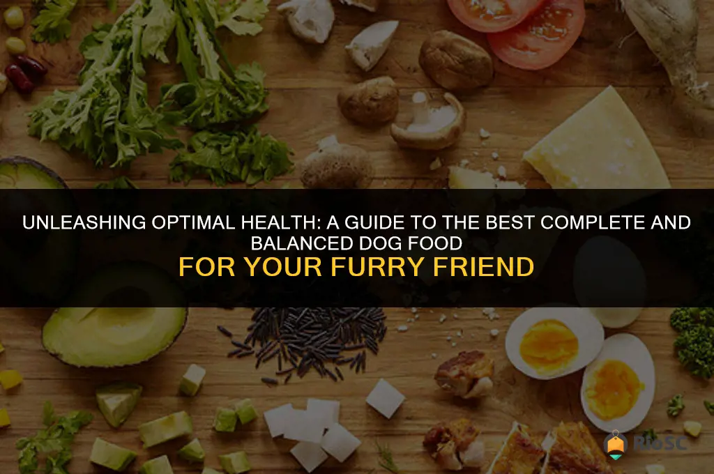 best complete and balanced dog food