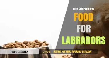Nutrition for Your Furry Friend: The Ultimate Guide to Complete Dog Food for Labradors