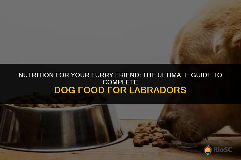 best complete dog food for labradors