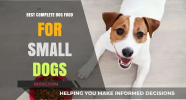 Nutrition in a Bowl: Unveiling the Best Complete Dog Food Options for Your Small Canine Companion