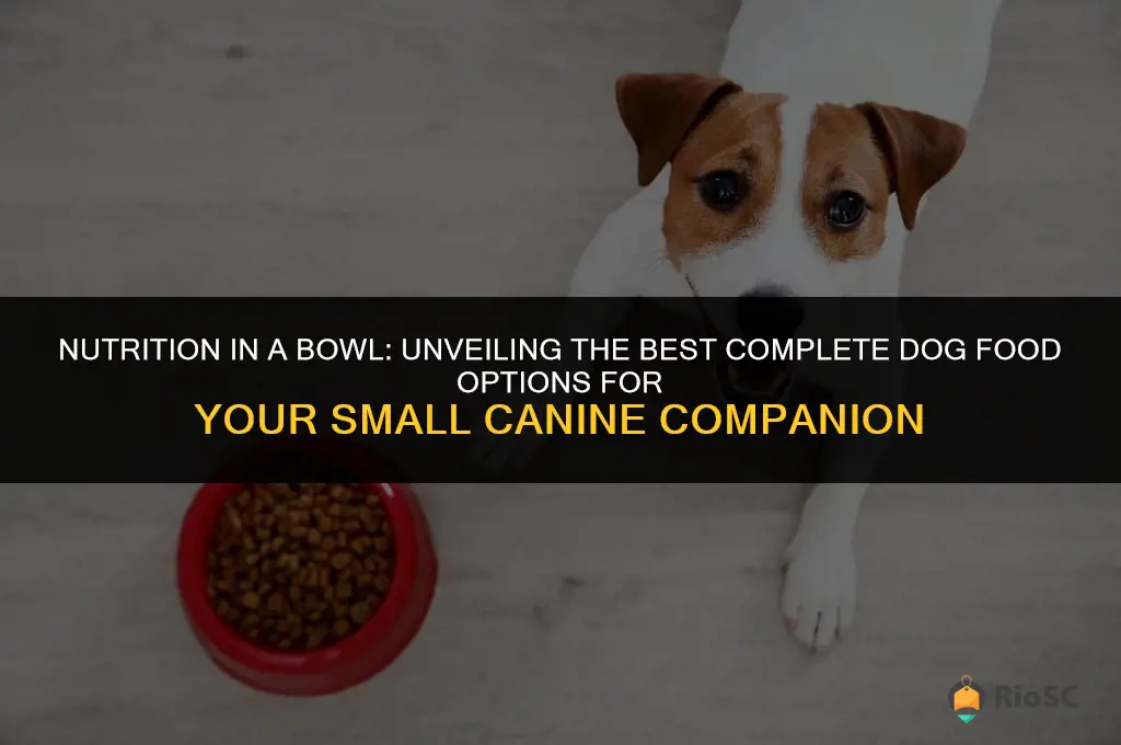 best complete dog food for small dogs