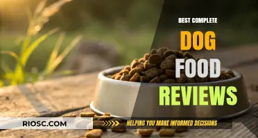 Top-Rated Complete Dog Foods: A Comprehensive Review for Pet Owners