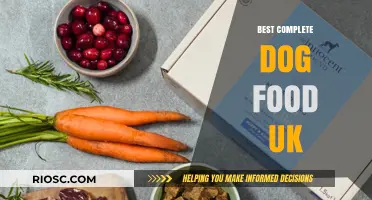 Top-Rated Complete Dog Foods in the UK: A Comprehensive Guide for Pet Owners