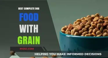 Top-Rated Complete Dog Foods with Grain for Optimal Nutrition