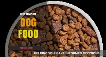 Unleashing Nutrition: A Comprehensive Guide to the Best Complete Dog Food for Your Furry Friend