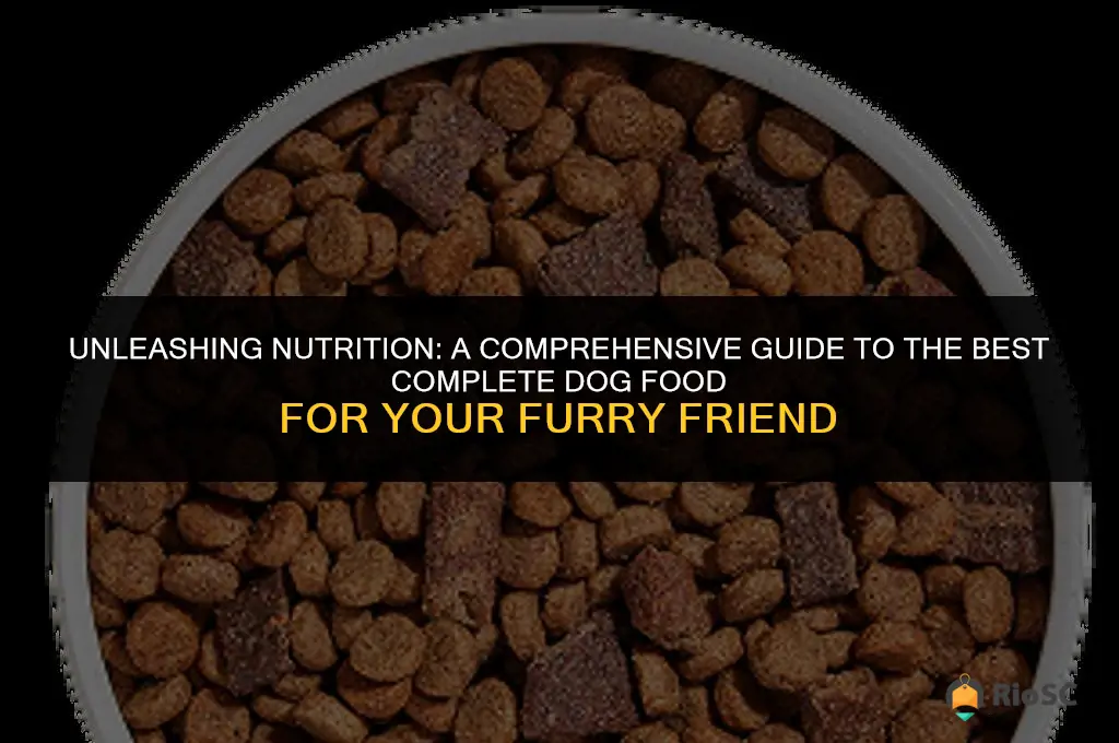 best complete dog food