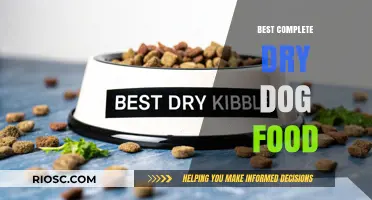 Top-Rated Complete Dry Dog Food: Nutritional Excellence for Your Canine Companion