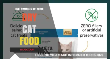 Top-Rated Complete Nutrition Dry Cat Food: A Comprehensive Guide for Feline Health