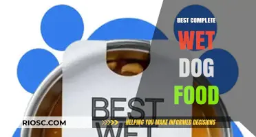 Top-Rated Complete Wet Dog Foods: A Comprehensive Guide for Pet Owners