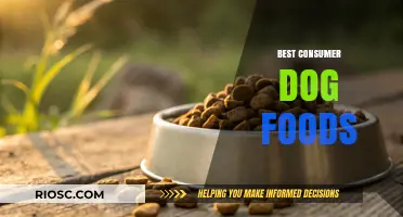 Top-Rated Consumer Dog Foods: A Comprehensive Guide to Nutritious and Delicious Options for Your Furry Friend