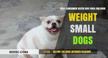 Top-Rated Dog Food Options for Overweight Small Dogs: A Consumer's Guide