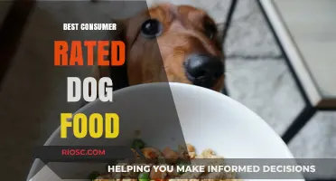 Top-Rated Dog Food: Consumer Favorites for Your Furry Friend