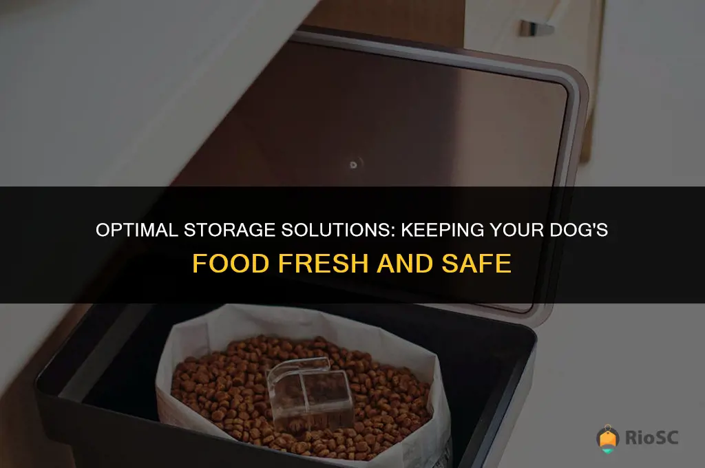 best container for storing dog food