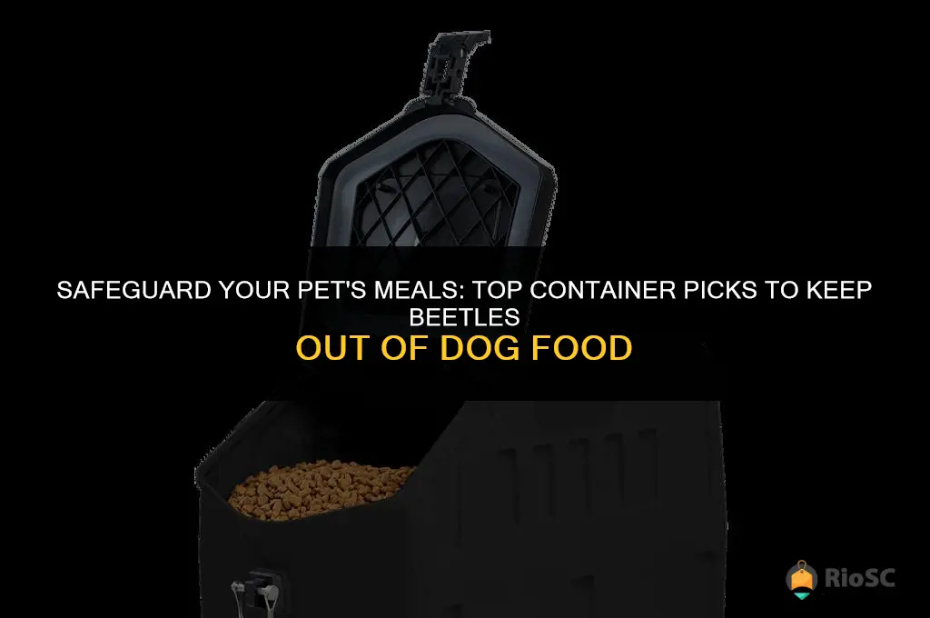 best container to keep beetles from dog food