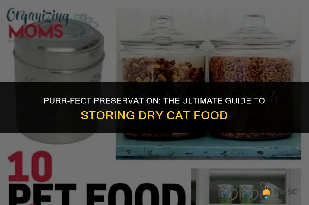 best container to store dry cat food