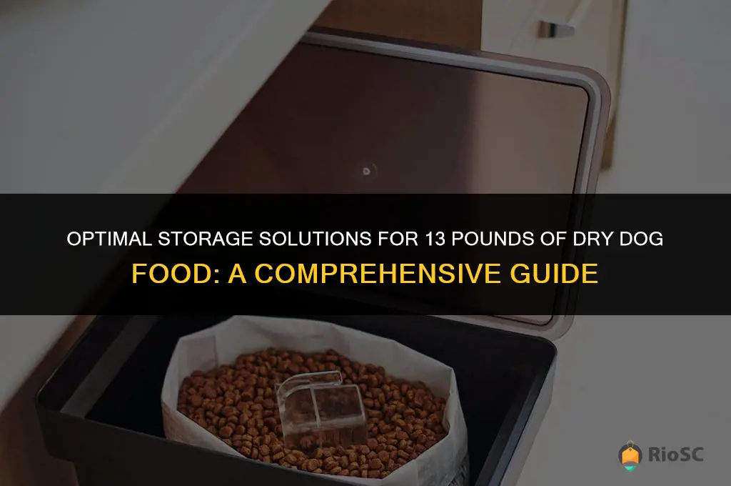 best containers to store 13 pounds of dry dog food