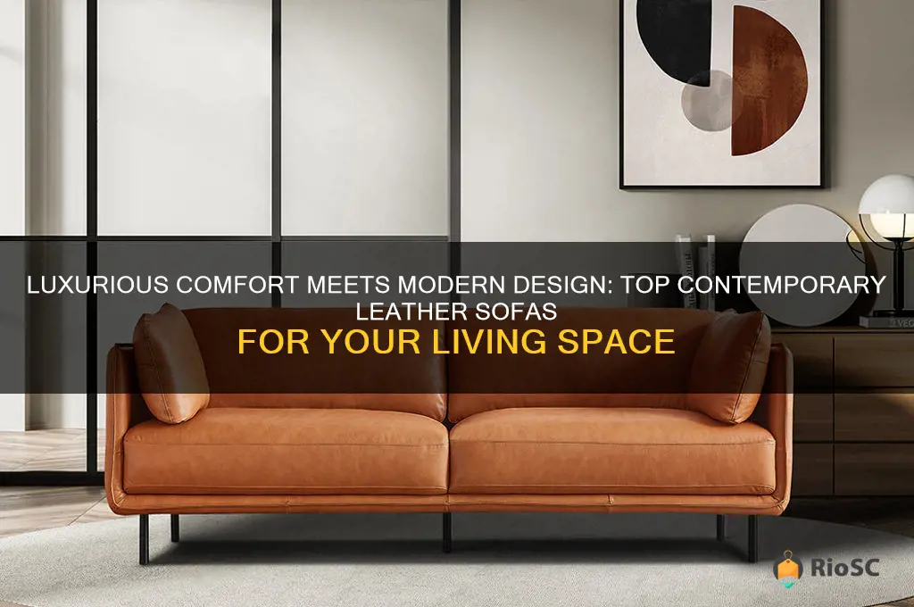 best contemporary leather sofas