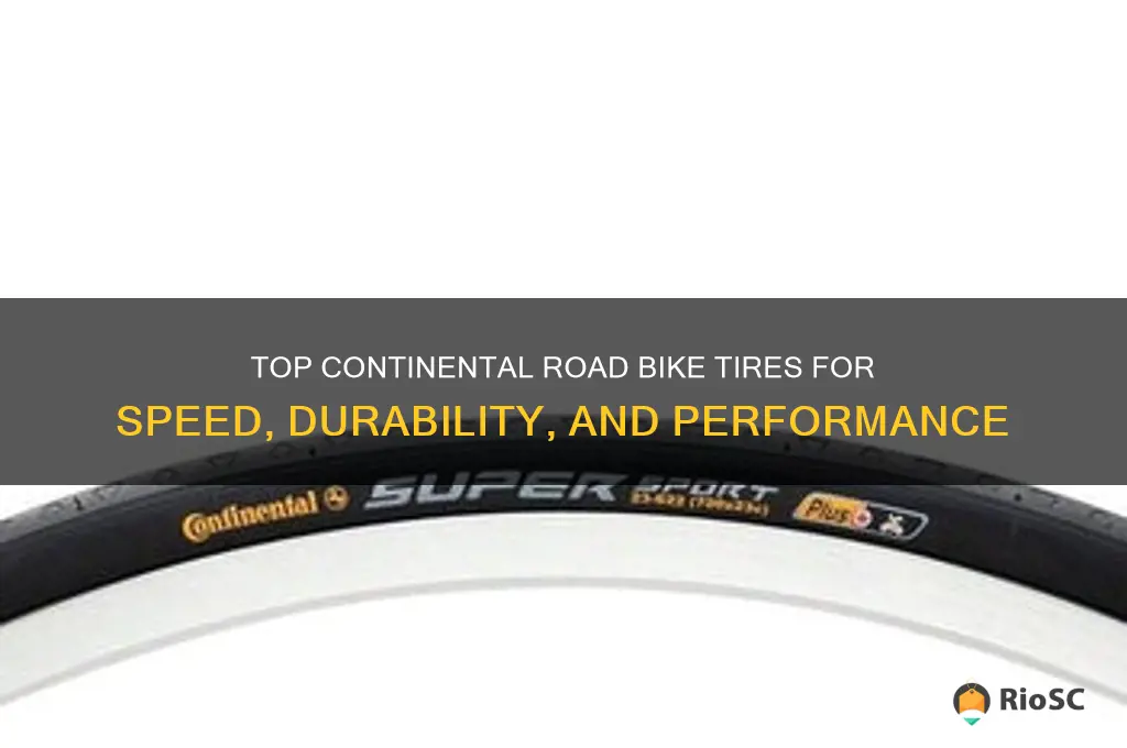 best continental road bike tires