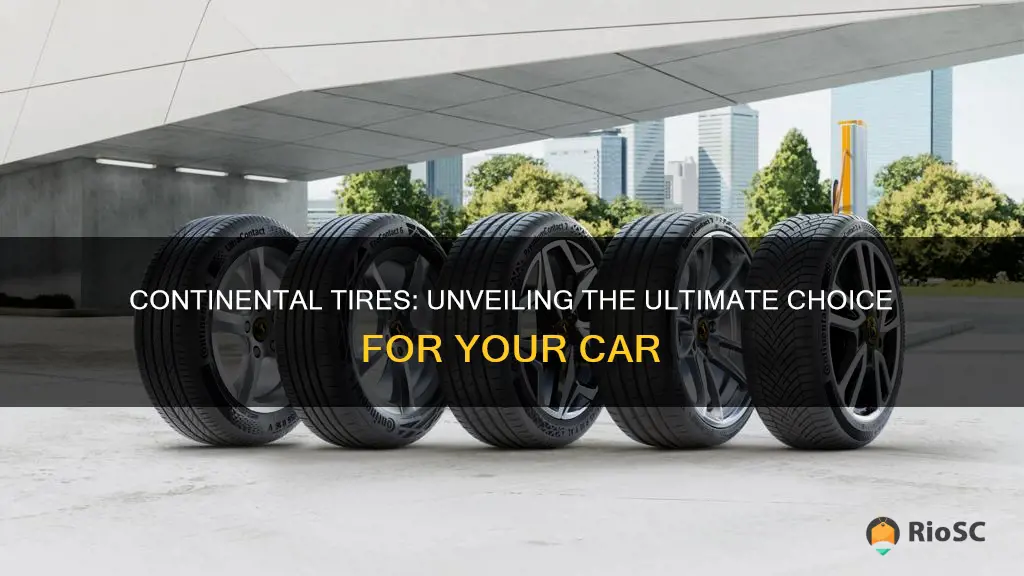 best continental tires for cars